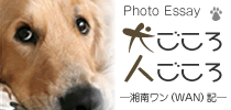 犬ごころ、人ごころ