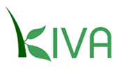 Kiva